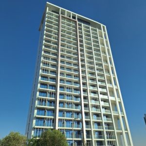 Vista 1